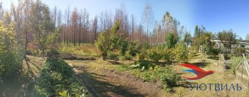 Бревенчатый дом в СНТ Ветеран в Дмитрове - dmitrov.yutvil.ru - фото 12 Бревенчатый дом в СНТ Ветеран в Дмитрове - dmitrov.yutvil.ru - фото 12