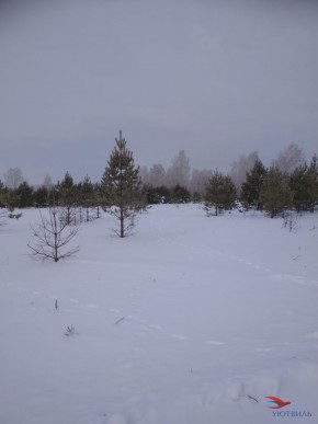 Баженово ул Южная д 7 в Дмитрове - dmitrov.yutvil.ru - фото 5