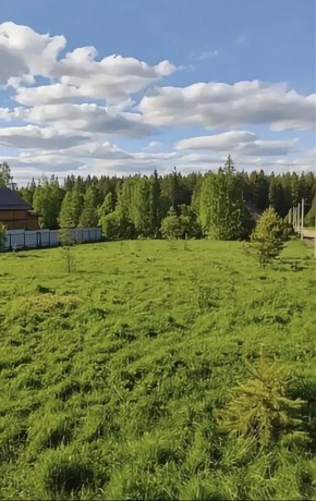 ДП Родной в Дмитрове - dmitrov.yutvil.ru - фото 3 ДП Родной в Дмитрове - dmitrov.yutvil.ru - фото 3