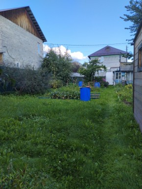 Коллективный сад номер 7, участок 58 в Дмитрове - dmitrov.yutvil.ru - фото 26