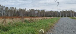 с. Новоалексеевское, КП Оникс,  в Дмитрове - dmitrov.yutvil.ru - фото 2
