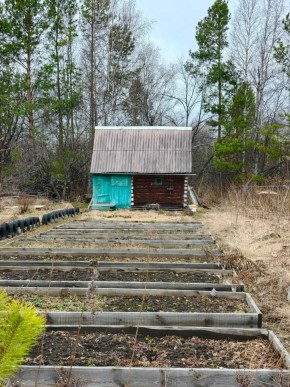 СНТ Родники в Дмитрове - dmitrov.yutvil.ru - фото 7