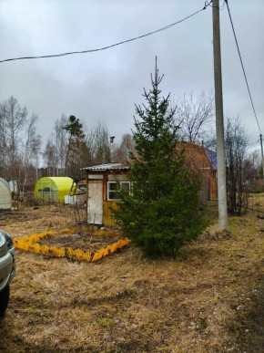СНТ Родники в Дмитрове - dmitrov.yutvil.ru - фото 5