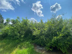 СПК Юбилейный, уч. 9 в Дмитрове - dmitrov.yutvil.ru - фото 15