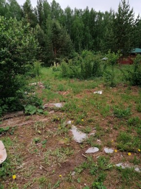 СТН Семья №112, Верхняя пышма на землях бывшего подсобного хозяйтва верхнепышминского опытного завода в Дмитрове - dmitrov.yutvil.ru - фото 17