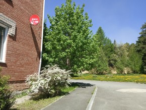 ул. Сосновая, 8 в Дмитрове - dmitrov.yutvil.ru - фото 25 ул. Сосновая, 8 в Дмитрове - dmitrov.yutvil.ru - фото 25