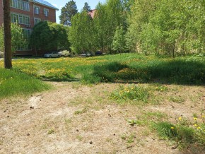 ул. Сосновая, 8 в Дмитрове - dmitrov.yutvil.ru - фото 33 ул. Сосновая, 8 в Дмитрове - dmitrov.yutvil.ru - фото 33